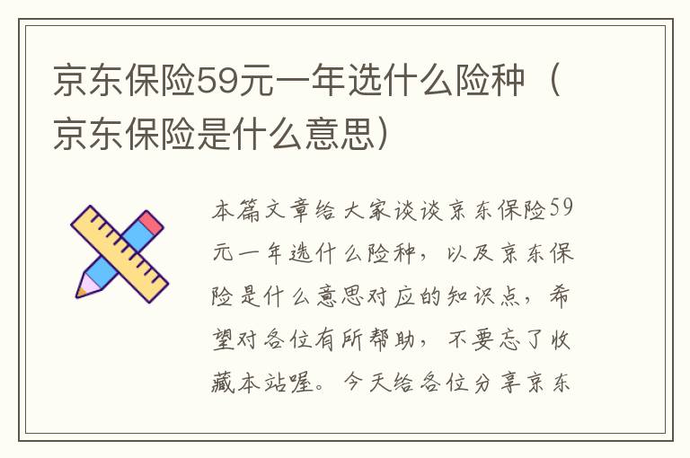 京东保险59元一年选什么险种（京东保险是什么意思）