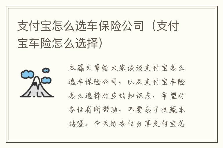 支付宝怎么选车保险公司（支付宝车险怎么选择）