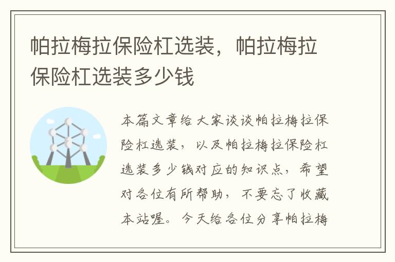 帕拉梅拉保险杠选装，帕拉梅拉保险杠选装多少钱