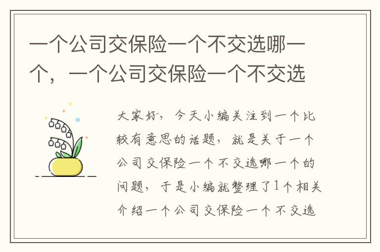 一个公司交保险一个不交选哪一个，一个公司交保险一个不交选哪一个公司