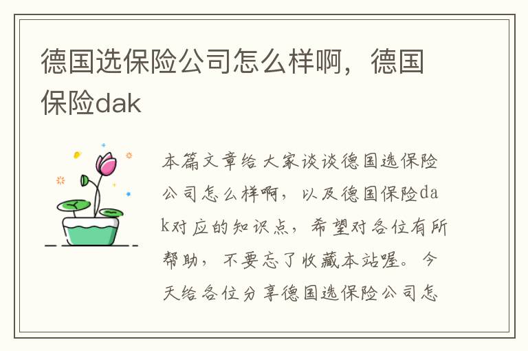 德国选保险公司怎么样啊，德国保险dak