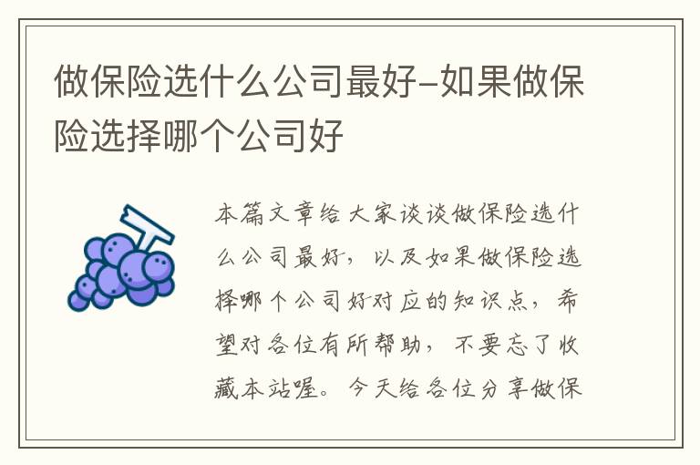 做保险选什么公司最好-如果做保险选择哪个公司好