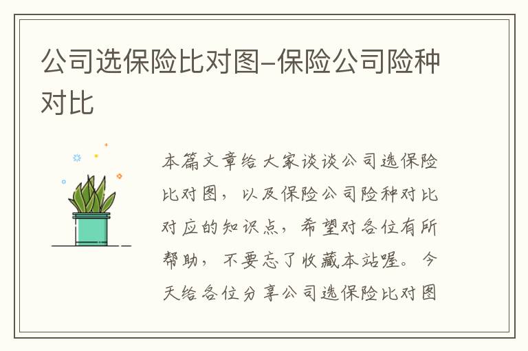 公司选保险比对图-保险公司险种对比