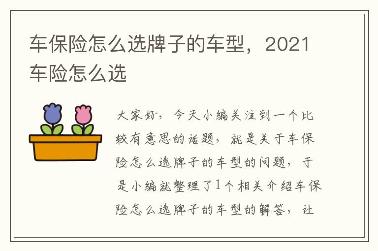 车保险怎么选牌子的车型，2021车险怎么选