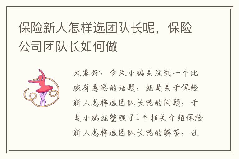 保险新人怎样选团队长呢，保险公司团队长如何做