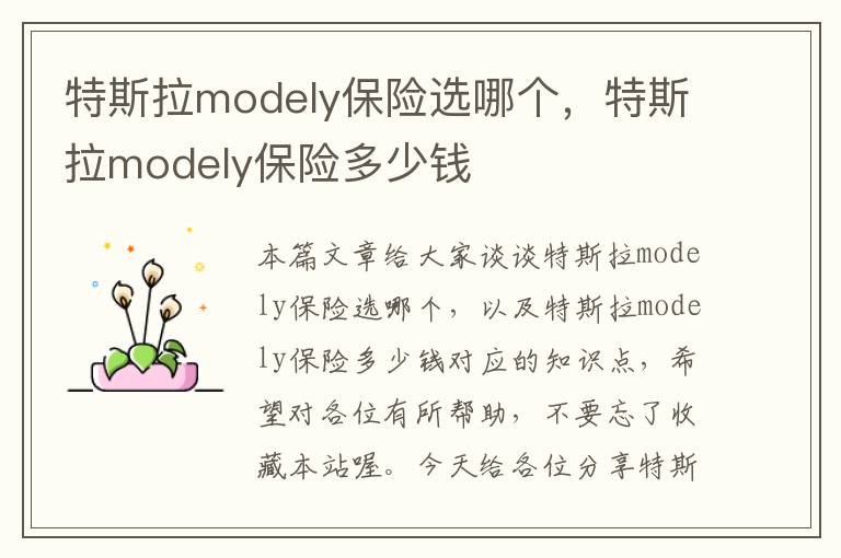 特斯拉modely保险选哪个，特斯拉modely保险多少钱