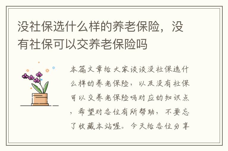 没社保选什么样的养老保险，没有社保可以交养老保险吗