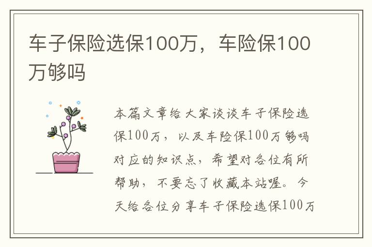 车子保险选保100万，车险保100万够吗