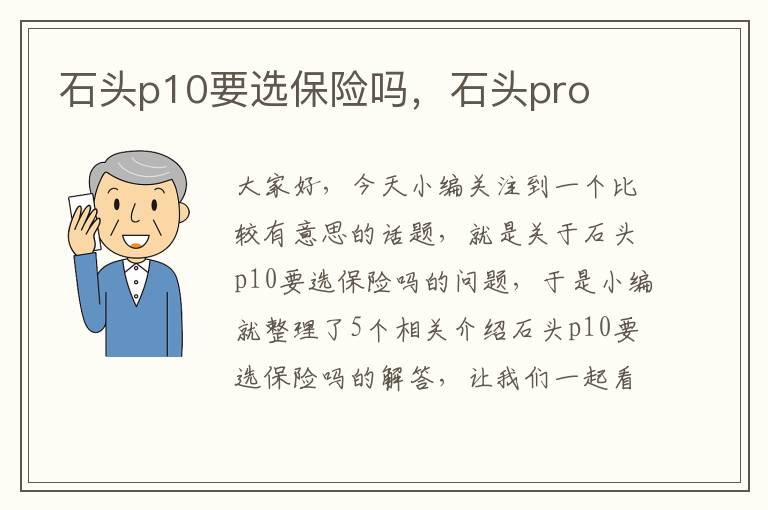 石头p10要选保险吗，石头pro