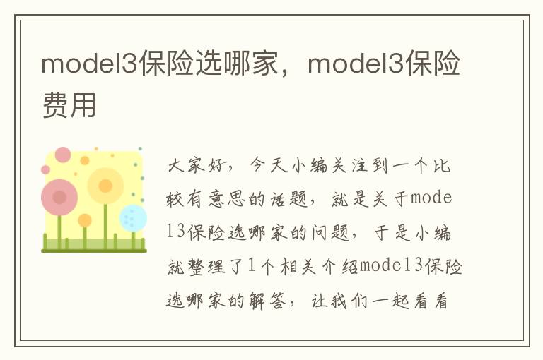 model3保险选哪家，model3保险费用