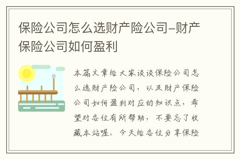 保险公司怎么选财产险公司-财产保险公司如何盈利