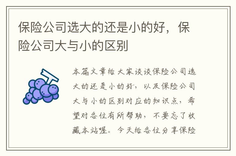 保险公司选大的还是小的好，保险公司大与小的区别