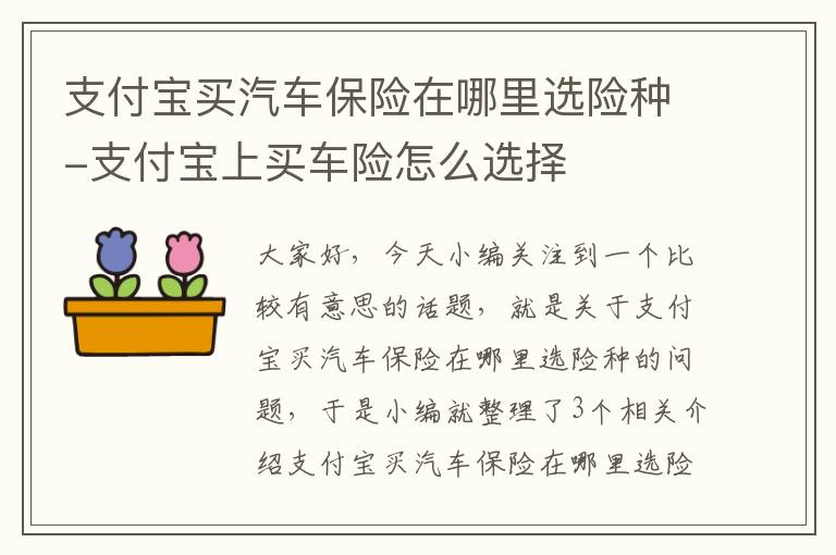 支付宝买汽车保险在哪里选险种-支付宝上买车险怎么选择