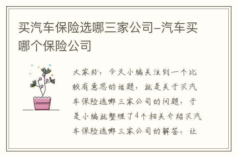 买汽车保险选哪三家公司-汽车买哪个保险公司