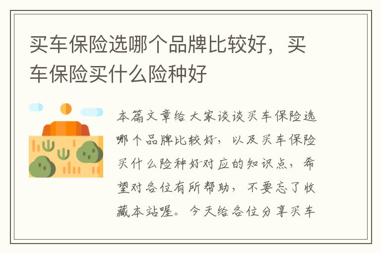 买车保险选哪个品牌比较好，买车保险买什么险种好