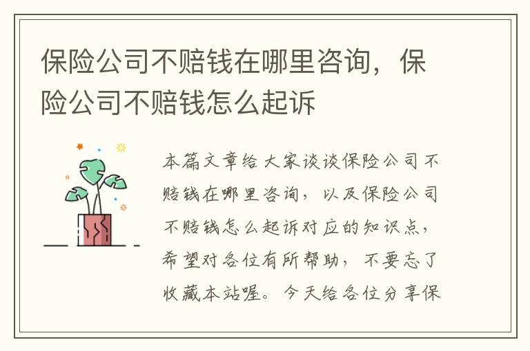 保险公司不赔钱在哪里咨询，保险公司不赔钱怎么起诉