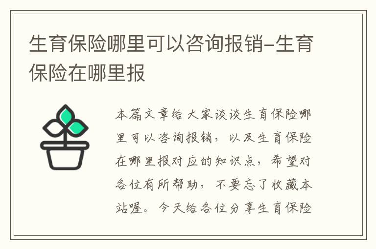 生育保险哪里可以咨询报销-生育保险在哪里报