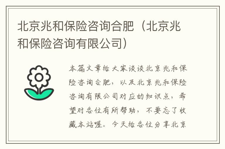 北京兆和保险咨询合肥（北京兆和保险咨询有限公司）