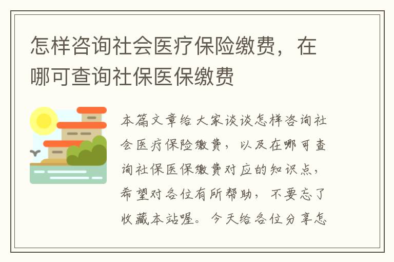 怎样咨询社会医疗保险缴费，在哪可查询社保医保缴费