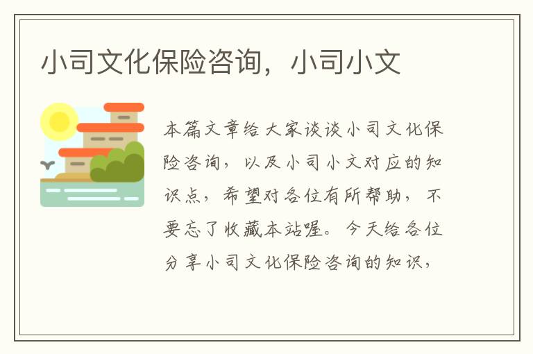 小司文化保险咨询，小司小文