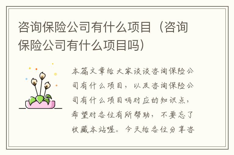 咨询保险公司有什么项目（咨询保险公司有什么项目吗）