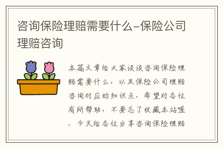 咨询保险理赔需要什么-保险公司理赔咨询