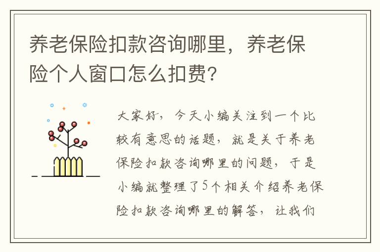 养老保险扣款咨询哪里，养老保险个人窗口怎么扣费?