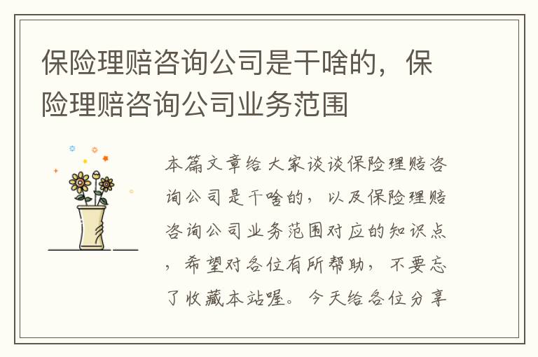 保险理赔咨询公司是干啥的，保险理赔咨询公司业务范围