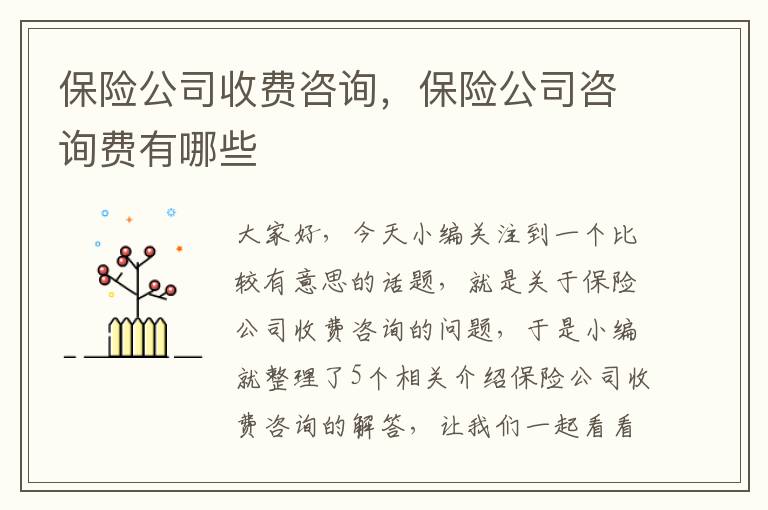 保险公司收费咨询，保险公司咨询费有哪些