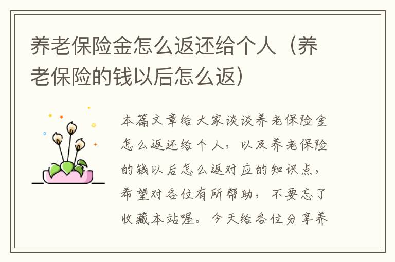 养老保险金怎么返还给个人（养老保险的钱以后怎么返）