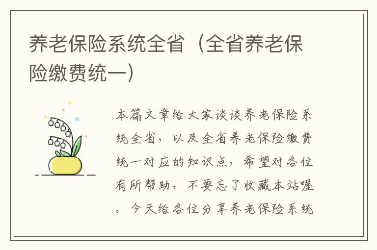 养老保险系统全省（全省养老保险缴费统一）