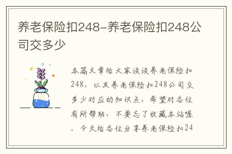 养老保险扣248-养老保险扣248公司交多少