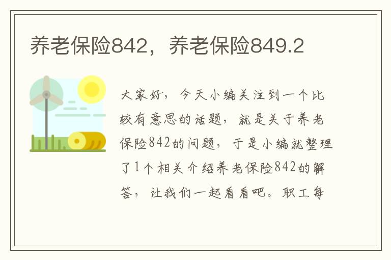 养老保险842，养老保险849.2