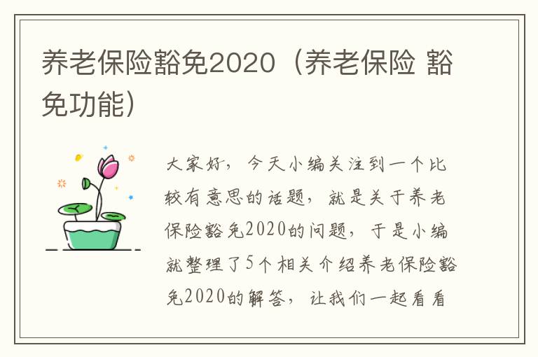 养老保险豁免2020（养老保险 豁免功能）