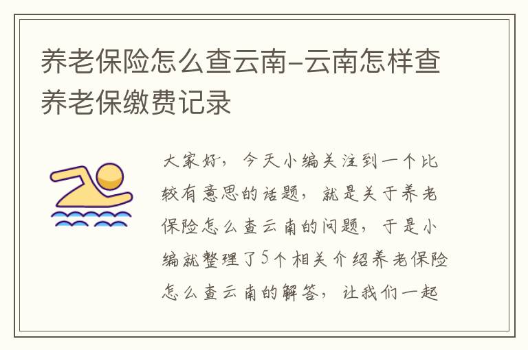 养老保险怎么查云南-云南怎样查养老保缴费记录