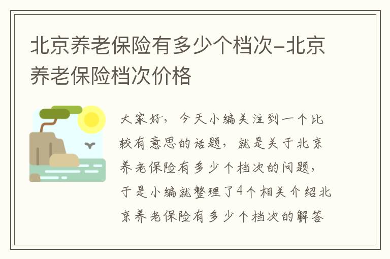 北京养老保险有多少个档次-北京养老保险档次价格