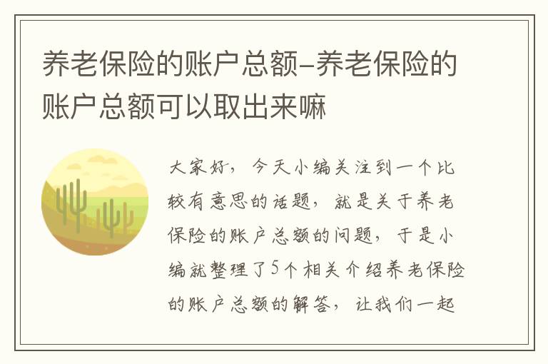 养老保险的账户总额-养老保险的账户总额可以取出来嘛