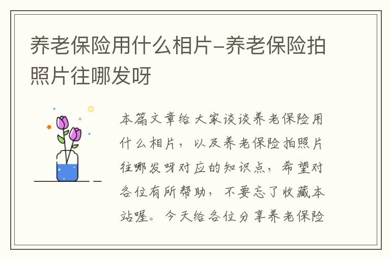 养老保险用什么相片-养老保险拍照片往哪发呀