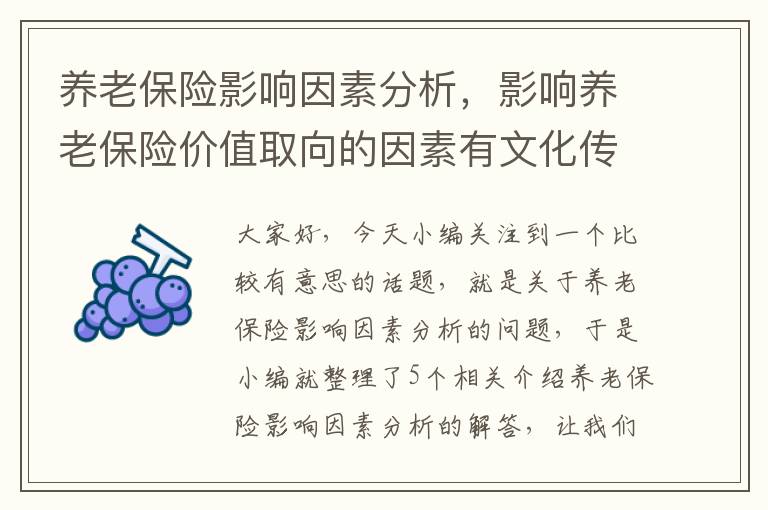 养老保险影响因素分析，影响养老保险价值取向的因素有文化传统家庭结构和功能