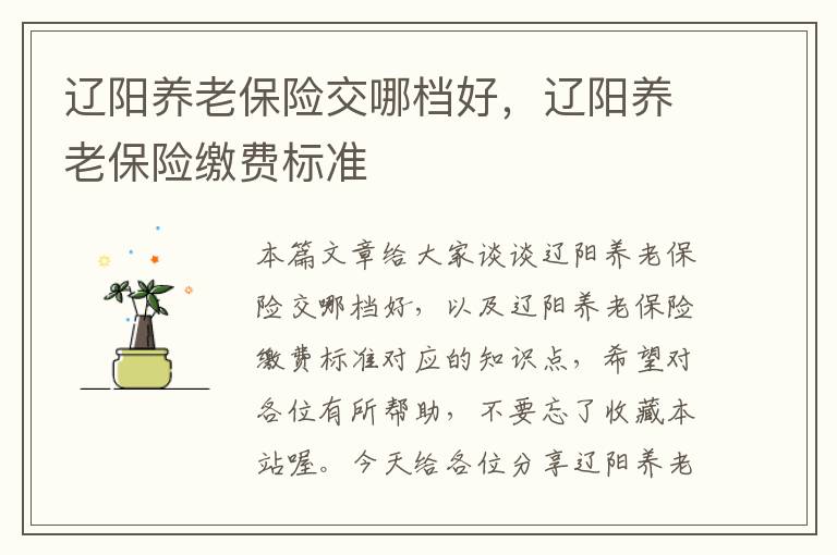 辽阳养老保险交哪档好，辽阳养老保险缴费标准