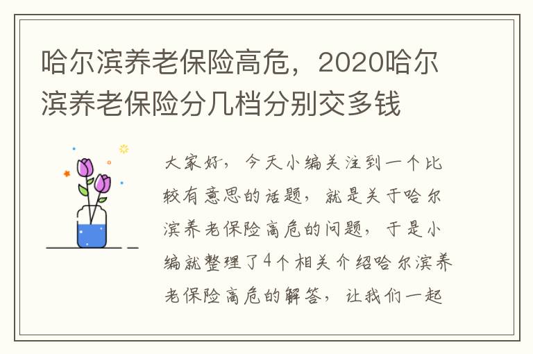 哈尔滨养老保险高危，2020哈尔滨养老保险分几档分别交多钱