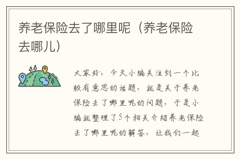 养老保险去了哪里呢（养老保险去哪儿）