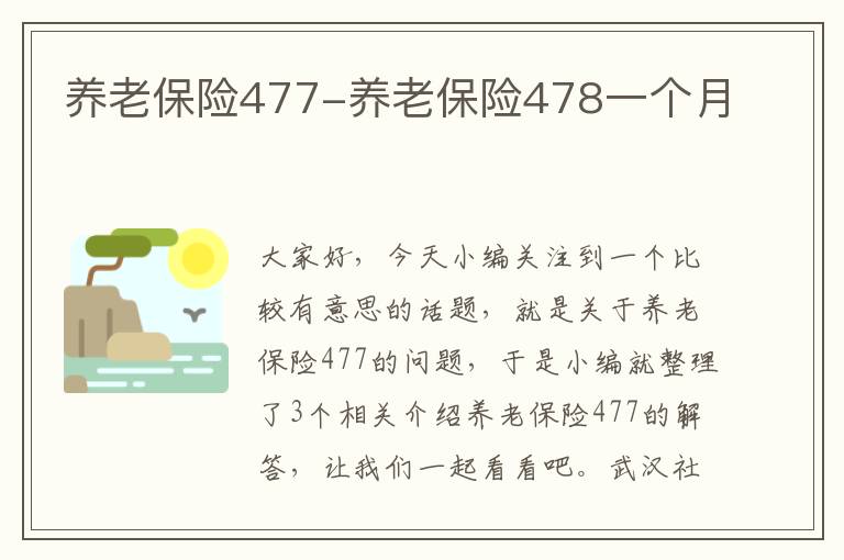 养老保险477-养老保险478一个月