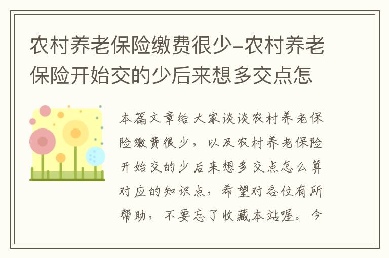 农村养老保险缴费很少-农村养老保险开始交的少后来想多交点怎么算