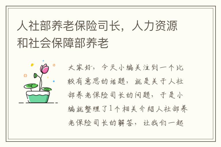 人社部养老保险司长，人力资源和社会保障部养老