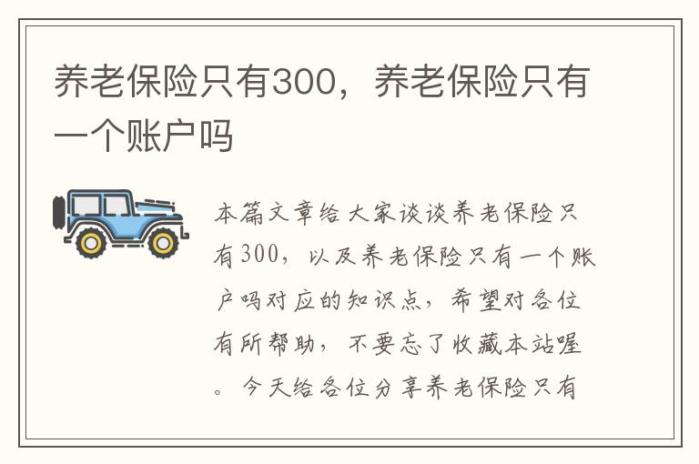 养老保险只有300，养老保险只有一个账户吗