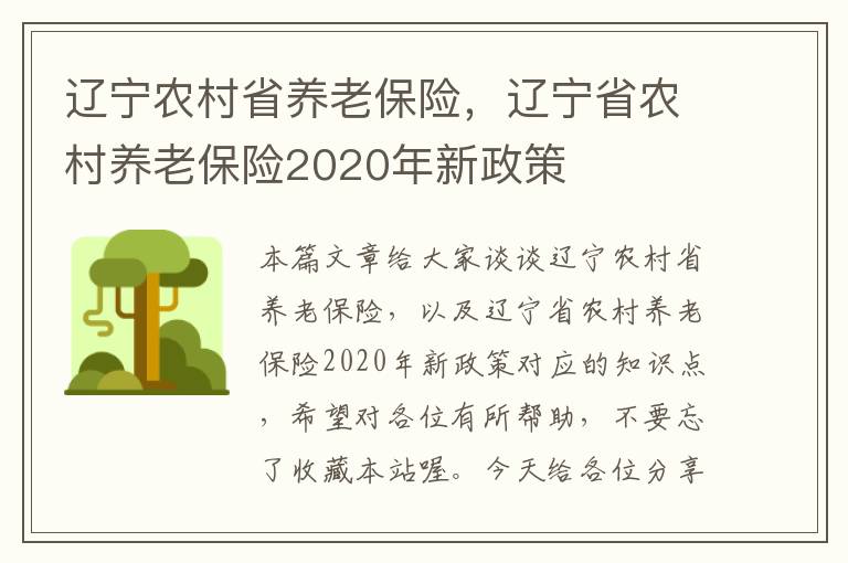 辽宁农村省养老保险，辽宁省农村养老保险2020年新政策