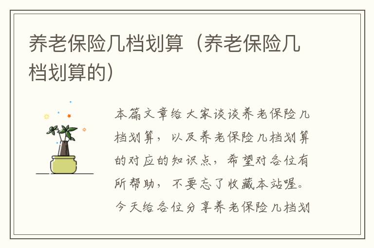 养老保险几档划算（养老保险几档划算的）