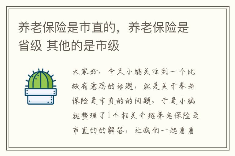 养老保险是市直的，养老保险是省级 其他的是市级