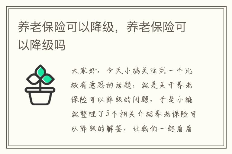 养老保险可以降级，养老保险可以降级吗